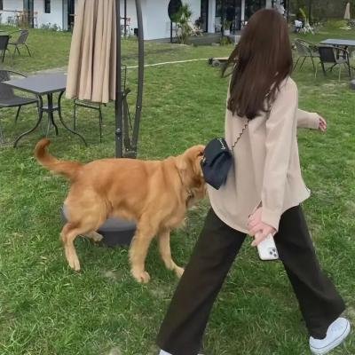 小木偶奇遇记